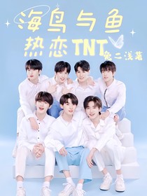 TNT：海鸟与鱼热恋