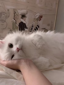 你的温柔：我上了瘾