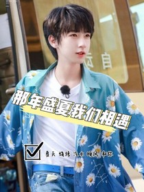 那年盛夏我们相遇