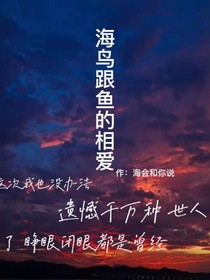 海鳥跟魚的相愛