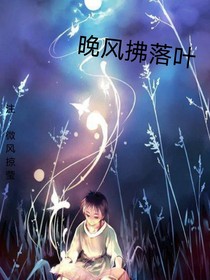 晚风拂落叶
