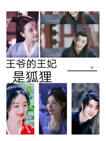 王爷的王妃是狐狸