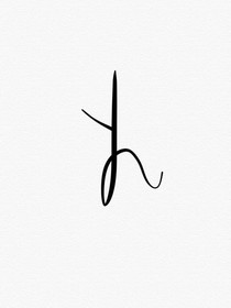 梧桐树下的相遇