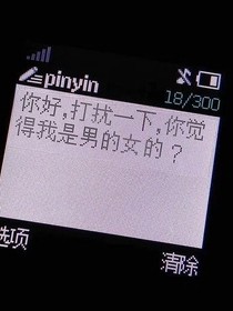 倾雨的介绍