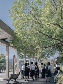 喂你喜欢她吗