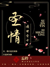 圣情：倾世圣女