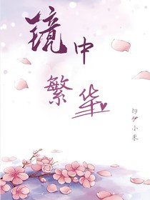 鏡中繁華