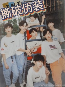TNT：撕破偽裝