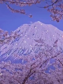 迷控