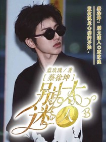 蔡先生：别太迷人