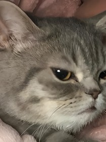 娜蓉之戀2