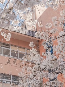 遇见你阳光不燥温柔正好