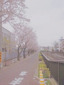 慕君然