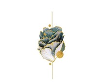 我有一朵玫瑰花