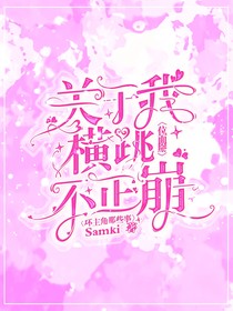 关于我横跳位面掰不正崩坏反派那些事