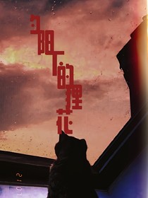 夕阳下的狸花猫