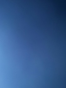 小米的爱情