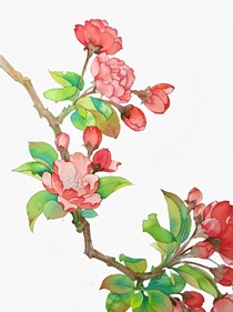许桉的夏天