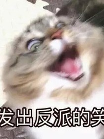 我和閨蜜穿第五
