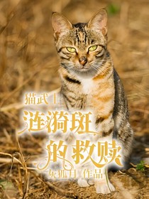 猫武士：涟漪斑的救赎