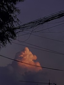 严浩翔：归属-d378