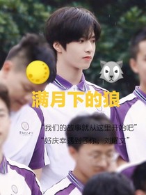 满月下的狼
