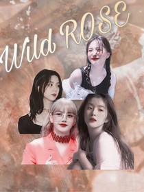 女团：WildRose