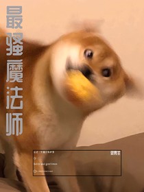最骚魔法师