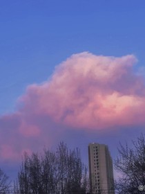 严浩翔：你是光