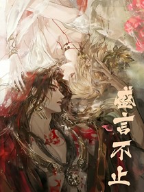 盛言不止