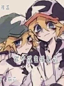 抓个怪盗做媳妇