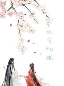 血誓忆镜-d959