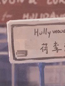 庭槐枝疏歲月深