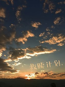 十八楼：救赎计划