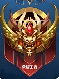 荣耀百星王者