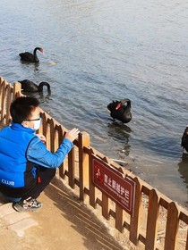 皮卡丘传