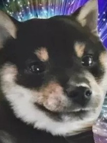我被有钱系统绑定了