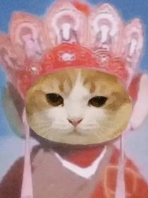 画面感