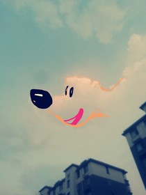 打动你的从来都是我