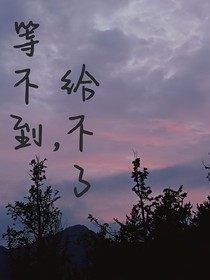 等不到，给不了