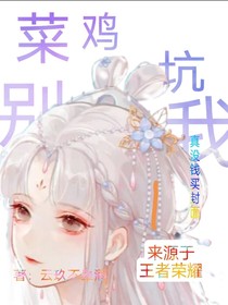 王者荣耀之菜鸟别坑我