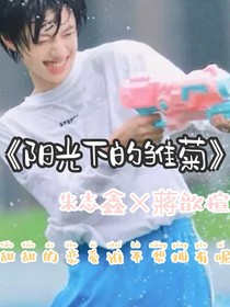 朱志鑫：阳光下的雏菊