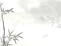 从五百士兵开始争霸
