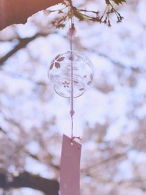 風(fēng)鈴木