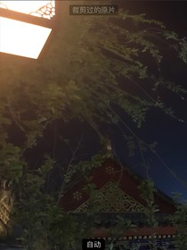 TNT：霧