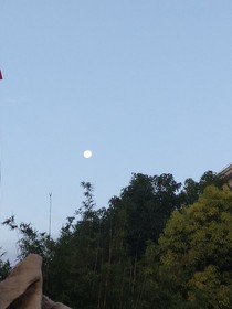 就当这是一场梦