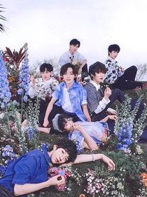 TNT……仲夏夜之夢