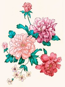 姽婳将军的封面铺