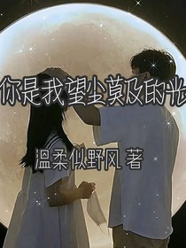 你是我望尘莫及的光