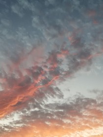 讓我替海棠愛你